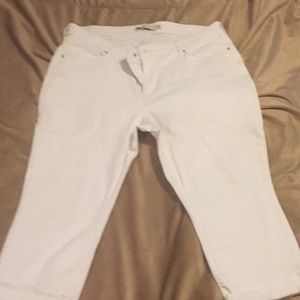 Levi small cuffed capris